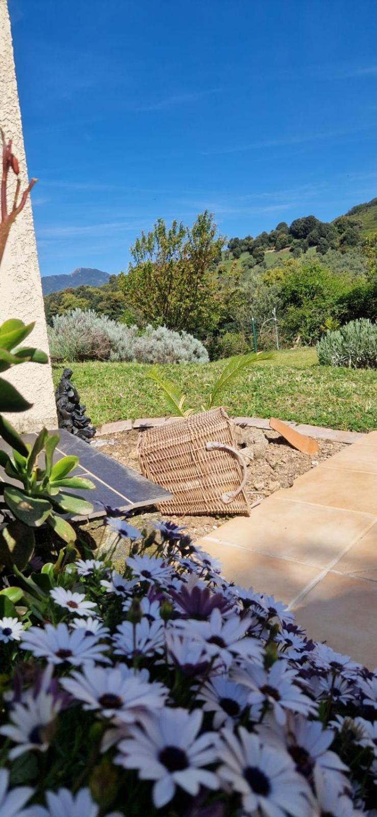 Mare E Monti Chez Thomas Et Magali Bed & Breakfast Vico Екстериор снимка