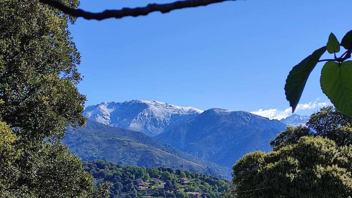 Mare E Monti Chez Thomas Et Magali Bed & Breakfast Vico Екстериор снимка