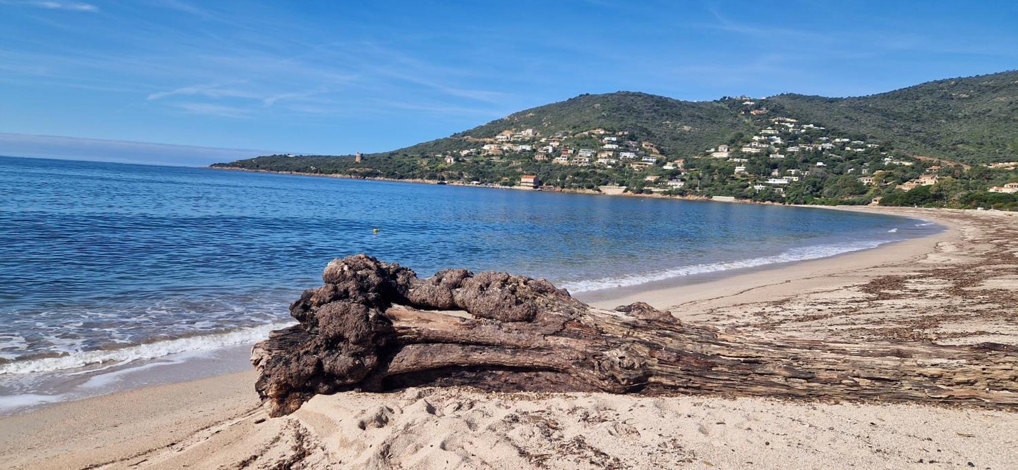 Mare E Monti Chez Thomas Et Magali Bed & Breakfast Vico Екстериор снимка